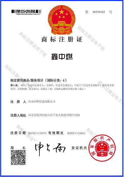 “鑫绿巨人视频官网免费下载”商标注册证